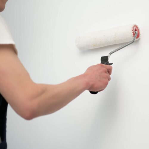 the-painter-is-painting-a-wall-in-a-room-with-a-ro-2025-03-14-13-53-42-utc the-painter-is-painting-a-wall-in-a-room-with-a-ro-2025-03-14-13-53-42-utc